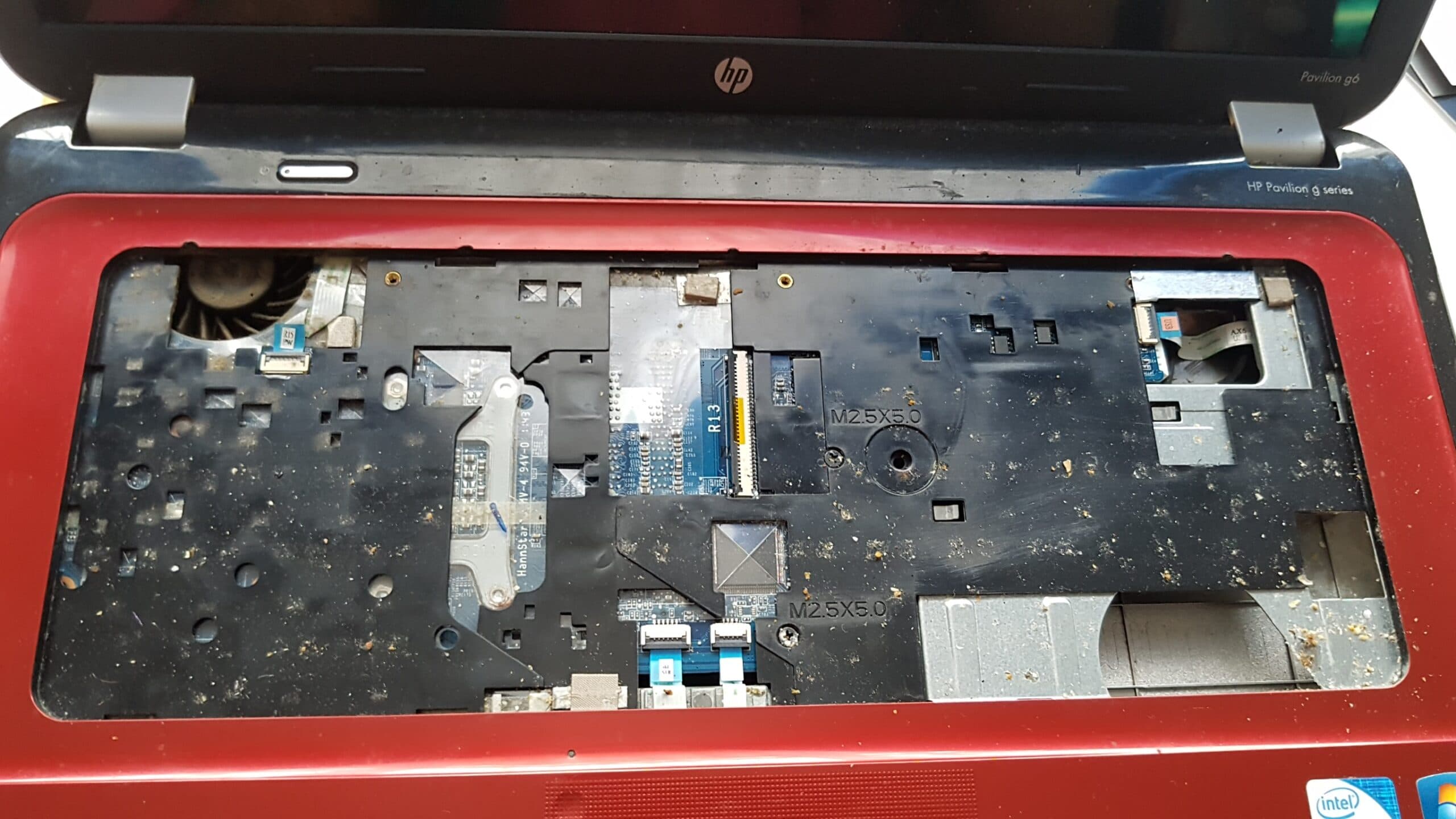 Laptop Extensive Cleaning